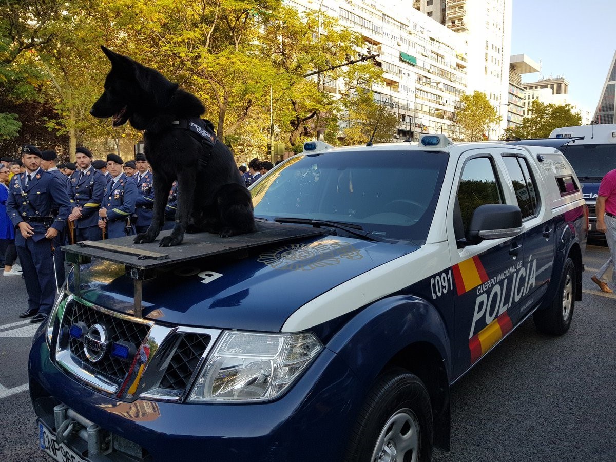 Preparación Oposiciones Policia Nacional - Halcon III Ourense