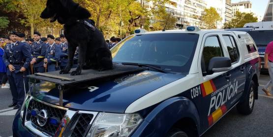 Policia Nacional